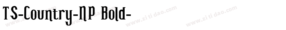 TS-Country-NP Bold字体转换
